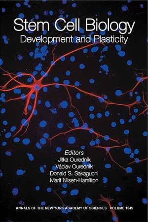 Stem Cell Biology: Development and Plasticity (Annals of the New York Academy of Sciences, Volume 1049, May 2005) de J Ourednik