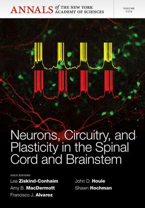 Neurons, Circuitry, and Plasticity in the Spinal Cord and Brainstem de L Zizkind–Conheim