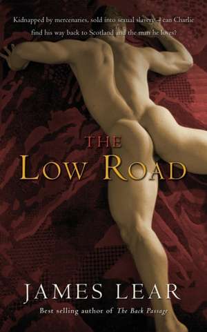 The Low Road de James Lear