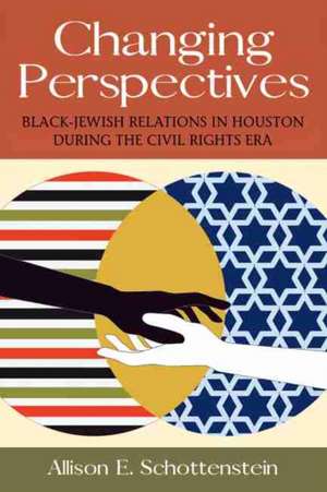 Changing Perspectives de Allison E. Schottenstein