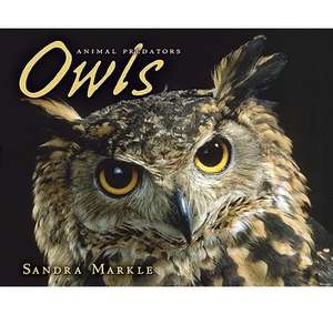 Owls de Sandra Markle