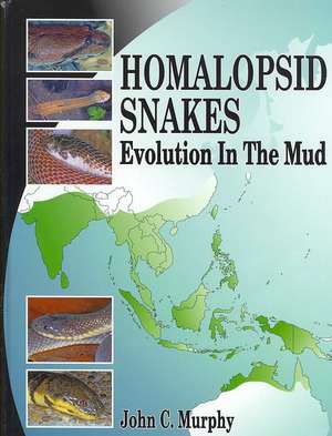 Homalopsid Snakes: Evolution in the Mud de John C. Murphy