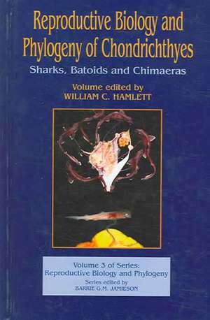 Reproductive Biology and Phylogeny of Chondrichthyes: Sharks, Batoids, and Chimaeras, Volume 3 de William C. Hamlett