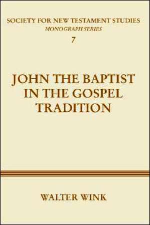 John the Baptist in the Gospel Tradition de Walter Wink