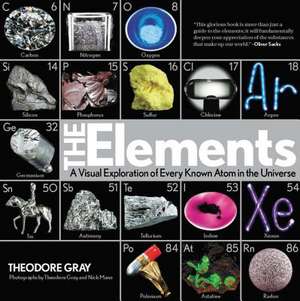 The Elements: A Visual Exploration of Every Known Atom in the Universe de Nick Mann