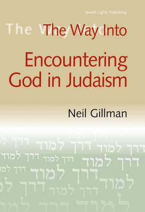 The Way Into Encountering God in Judaism de Neil Gillman