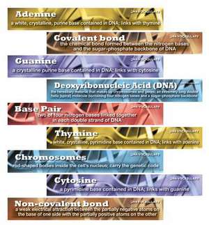 DNA Vocabulary Mini Bulletin Board Set de Mark Twain Media