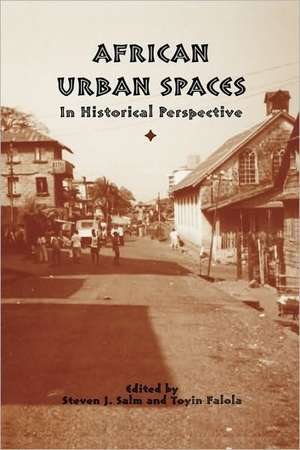 African Urban Spaces in Historical Perspective de Steven Steven Salm