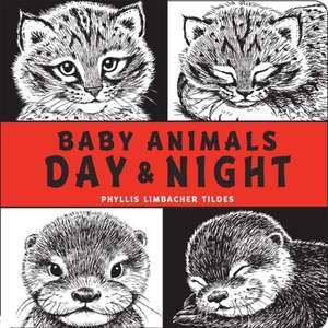 Baby Animals Day & Night: A Healthy Serving of Science and Poems de Phyllis Limbacher Tildes