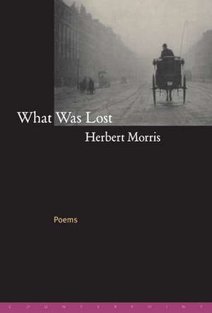 What Was Lost: Poems de Herbert Morris