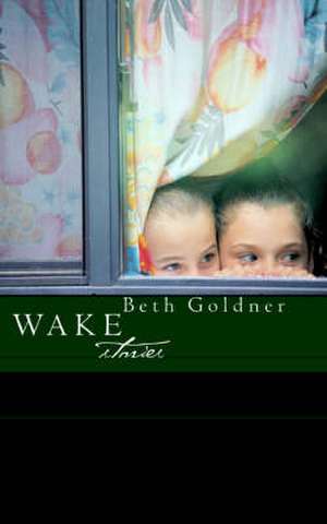 Wake: Stories de Beth Goldner