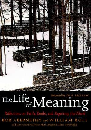 The Life of Meaning: Reflections on Faith, Doubt and Repairing the World de William Bole