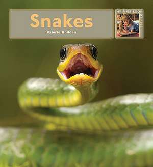 Snakes de Valerie Bodden