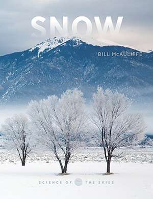 Snow de Bill McAuliffe