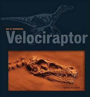 Velociraptor de Sheryl Peterson