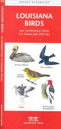 Louisana Birds: An Introduction to Familiar Species de James Kavanagh