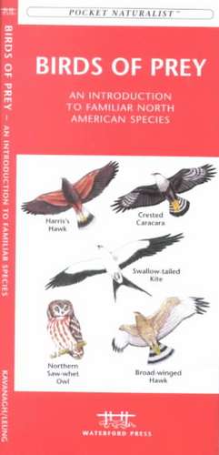 Birds of Prey: An Introduction to Familiar North American Species de James Kavanagh