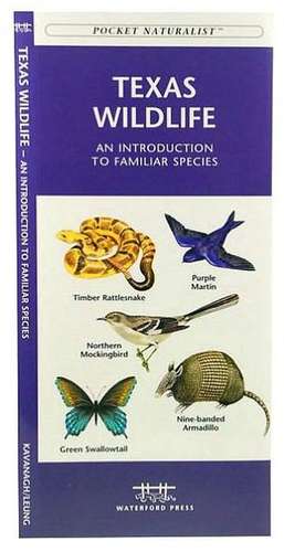 Texas Wildlife: An Introduction to Familiar Species de James Kavanagh