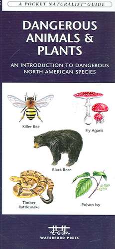 Dangerous Animals & Plants: A Folding Pocket Guide to Dangerous North American Species de James Kavanagh