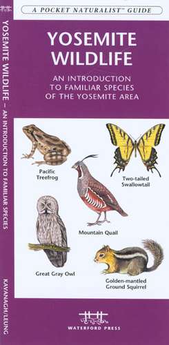 Yosemite Wildlife: An Introduction to Familiar Species of the Yosemite Area de James Kavanagh