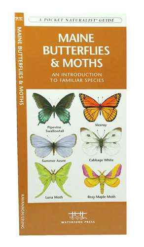 Maine Butterflies & Moths: An Introduction to Familiar Species de James Kavanagh