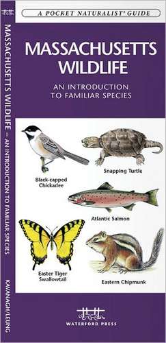 Massachusetts Wildlife: An Introduction to Familiar Species de James Kavanagh