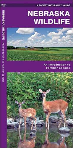 Nebraska Wildlife: A Folding Pocket Guide to Familiar Species de James Kavanagh