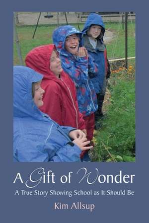 A Gift of Wonder de Kim Allsup