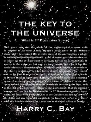 The Key to the Universe de Harry C. Bay