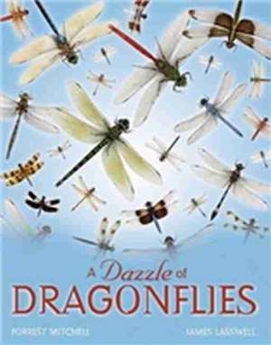 A Dazzle of Dragonflies de Forrest Lee Mitchell