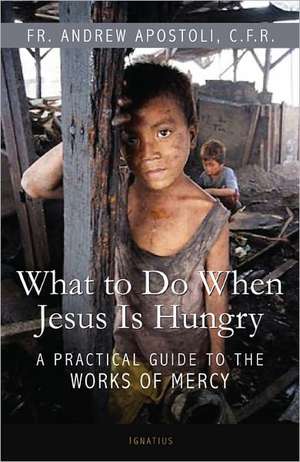 What to Do When Jesus Is Hungry: A Practical Guide to the Works of Mercy de Andrew Apostoli