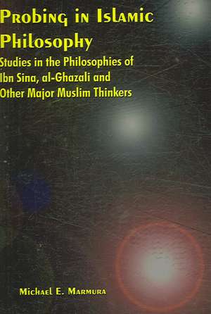 Probing in Islamic Philosophy