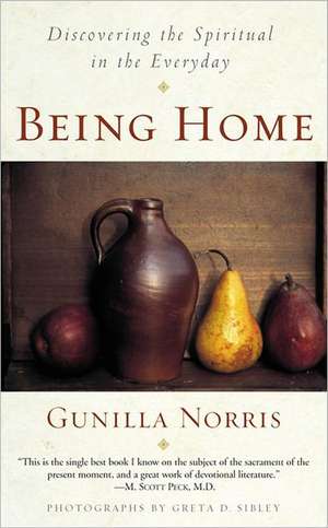 Being Home: Discovering the Spiritual in the Everyday de Gunilla Brodde Norris