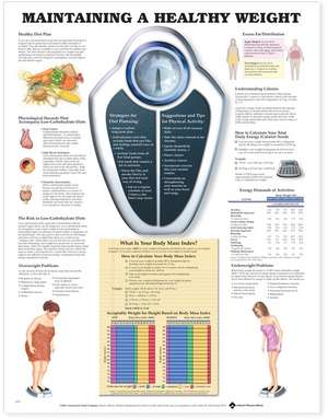 Maintaining A Healthy Weight de Anatomical Chart Company