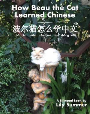 How Beau the Cat Learned Chinese de Lily Summer