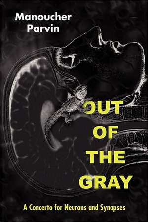 Out of the Gray de Manoucher Parvin