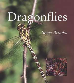 Dragonflies de Steve Brooks