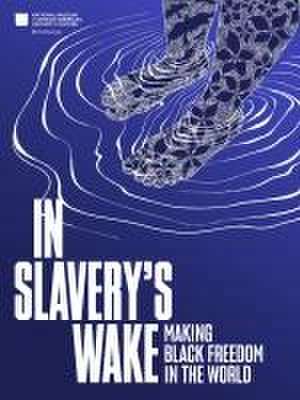 In Slavery's Wake de Nat'l Mus Afr Am Hist Culture