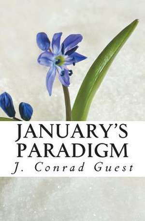 January's Paradigm: (Even If You Don't Have a Drinking Problem) de J. Conrad Guest