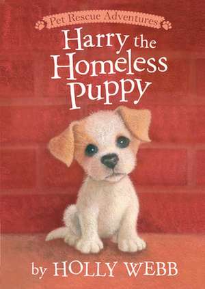 Harry the Homeless Puppy de Holly Webb