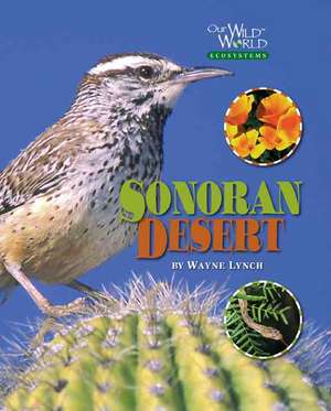 Sonoran Desert de Wayne Lynch