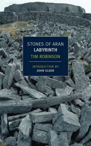 Stones of Aran: Labyrinth de Tim Robinson