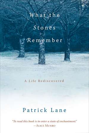 What the Stones Remember: A Life Rediscovered de Patrick Lane