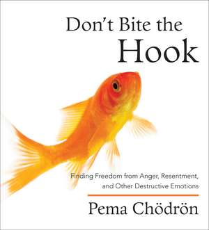 Don't Bite the Hook: Finding Freedom from Anger, Resentment, and Other Destructive Emotions de Pema Chodron