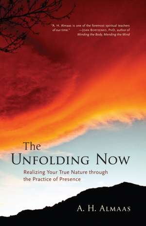 The Unfolding Now de A. H. Almaas