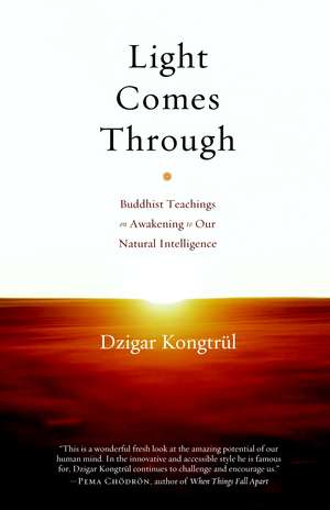 Light Comes Through: Buddhist Teachings on Awakening to Our Natural Intelligence de Dzigar Kongtrul