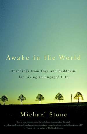 Awake in the World: Teachings from Yoga & Buddhism for Living an Engaged Life de Michael Stone