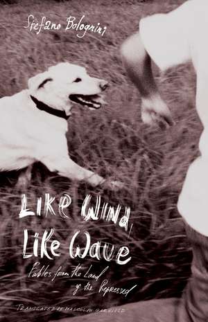 Like Wind, Like Wave: Fables from the Land of the Repressed de Stefano Bolognini