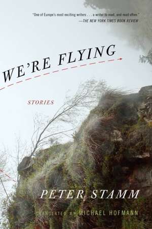 We're Flying de Peter Stamm