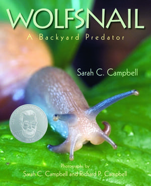 Campbell, S: Wolfsnail